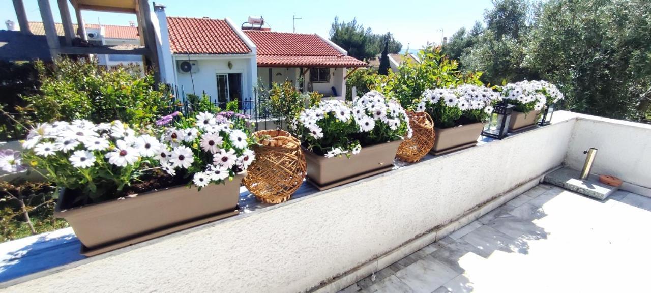 Villa Βianca in Sithonia Gerakini Esterno foto