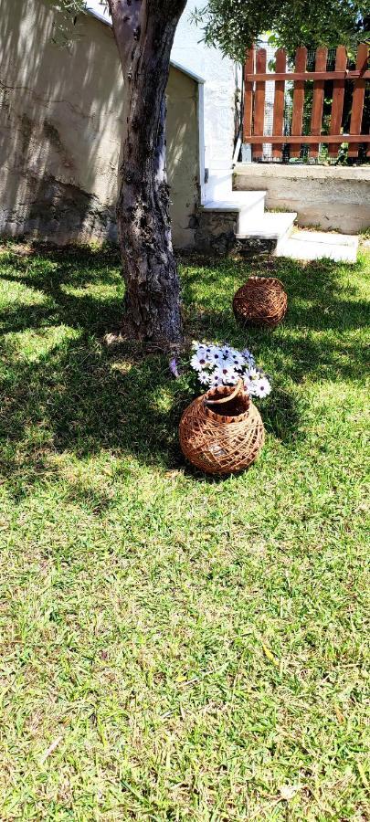 Villa Βianca in Sithonia Gerakini Esterno foto